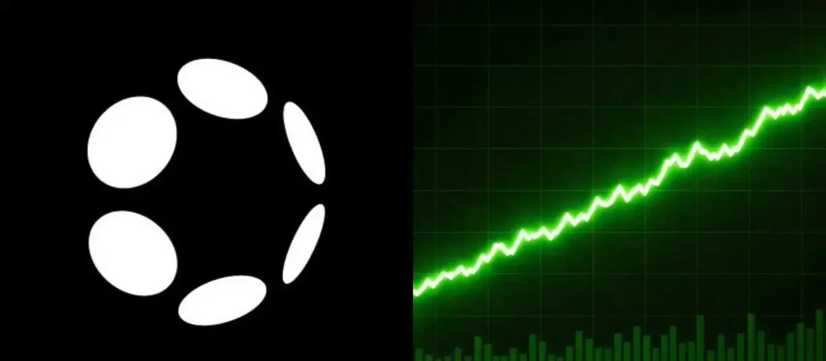 Polkadot Transactional Activity Records 5,000% Growth Spike